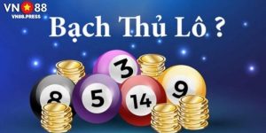 Bạch Thủ Đề - Bật Mí Chi Tiết Đến Hội Viên