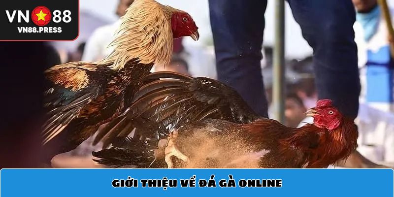 Giới thiệu về đá gà online