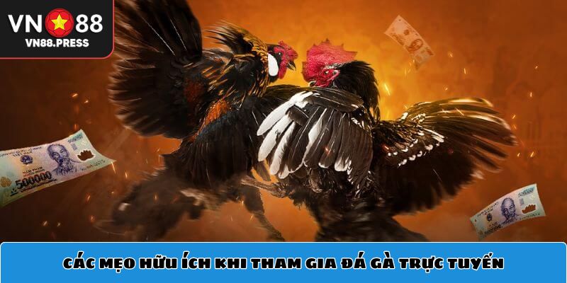 Bí quyết tham gia đá gà hiệu quả