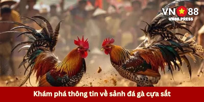 Giới thiệu thông tin về đá kê cựa sắt 